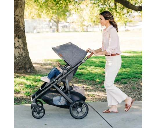 Коляска 2 в 1 UPPAbaby Vista V3 - Gwen