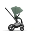 Прогулянкова коляска Cybex PRIAM - leaf green (шасі Matt Black)