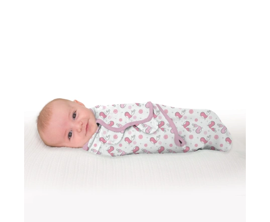 Набір конвертів на липучках Summer Infant Swaddleme Original Tweet Tweet (2шт)