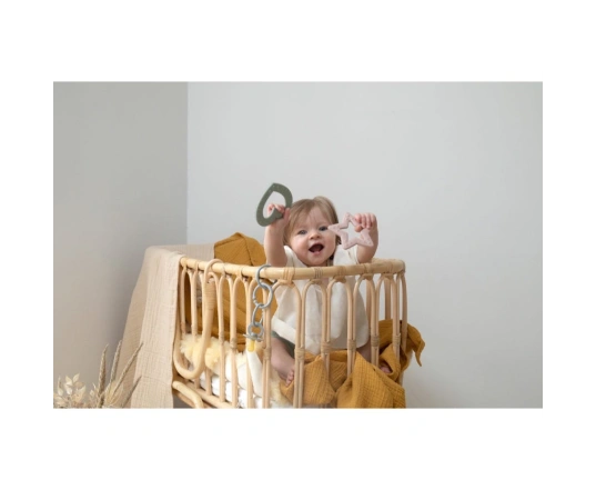 Іграшка - прорізувач BIBS Baby Bitie Heart Sage